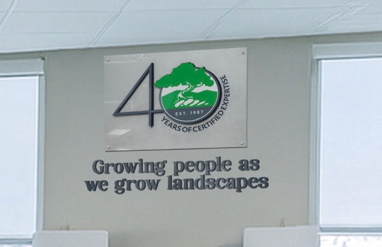 Digi Printing & Cutting work sample